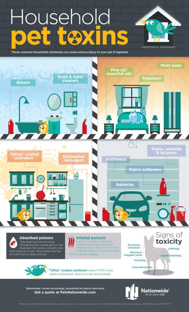 Household Toxins Infographic