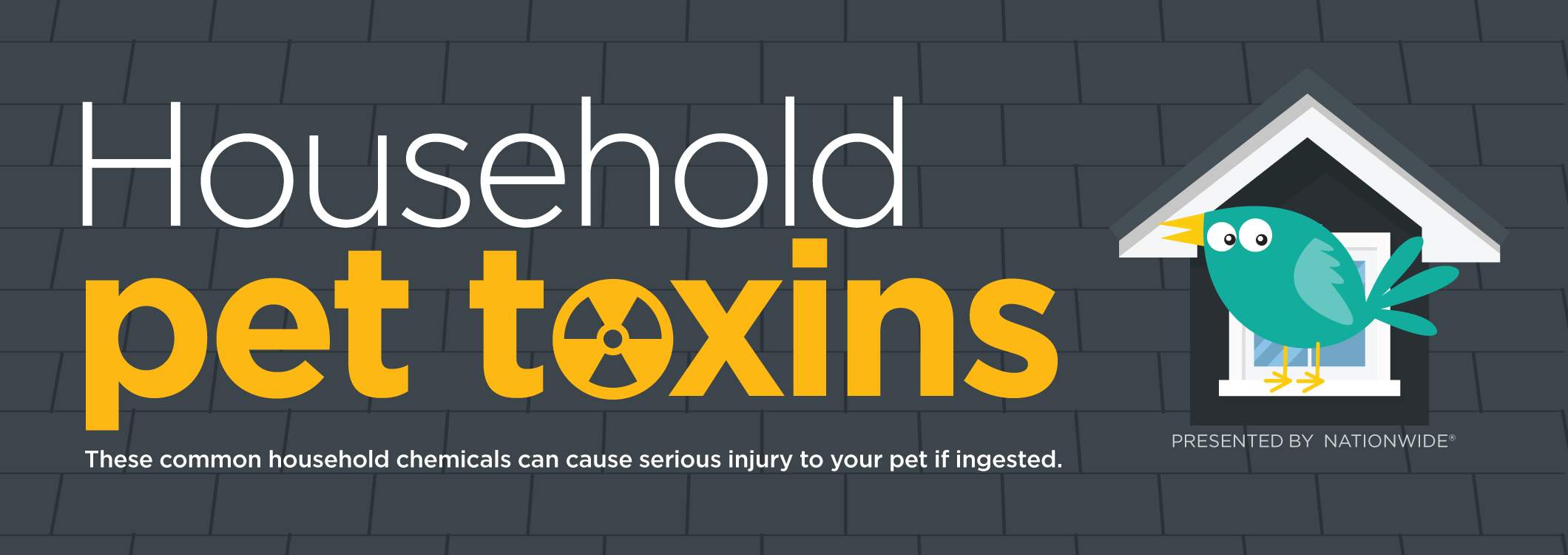 Household Hazards My Pet Insider