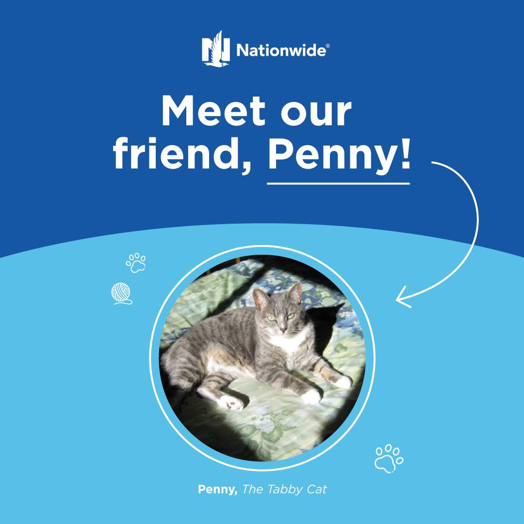 Meet our friend, Penny!