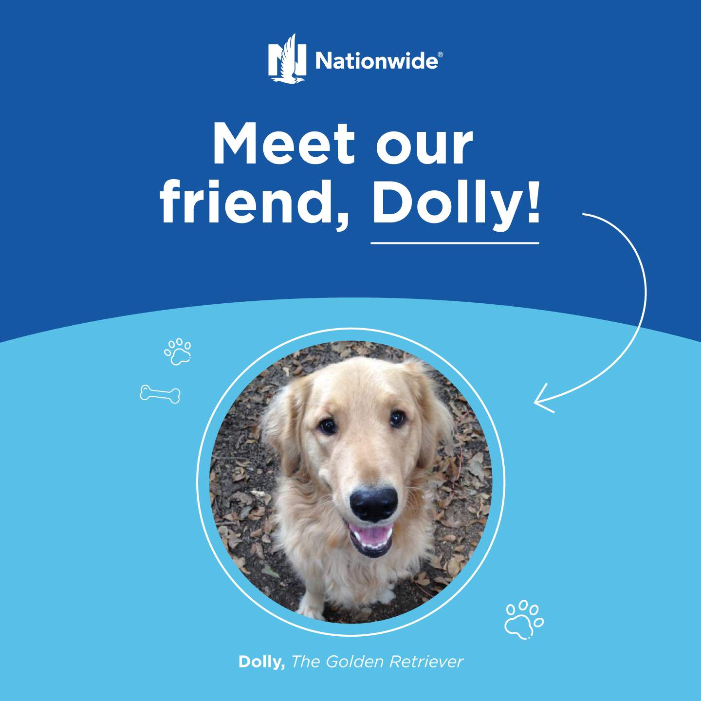 Meet our friend, Dolly!