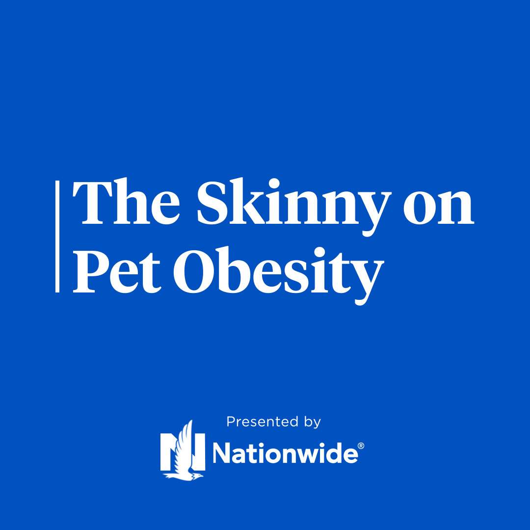 The Skinny on Pet Obesity presented by Nationwide