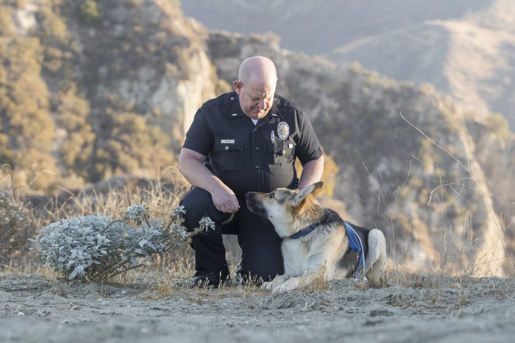 Police officer and a dog