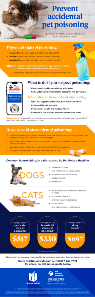 Prevent accidental pet poisoning infographic 