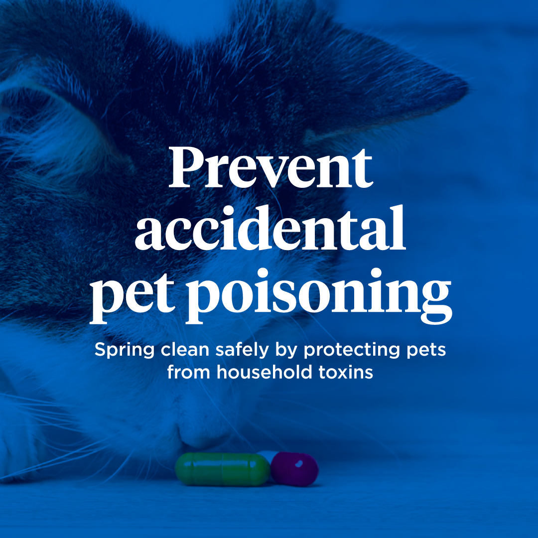 Prevent accidental pet poisoning