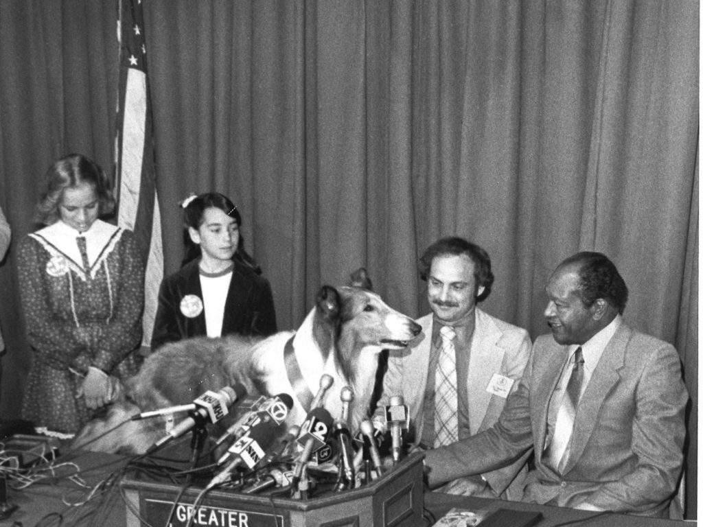 Lassie the dog at a press conference