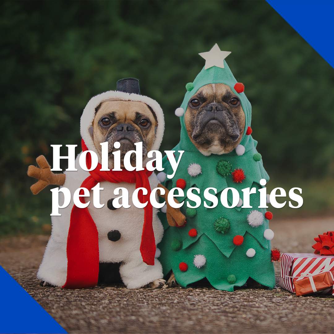 Holiday pet accessories