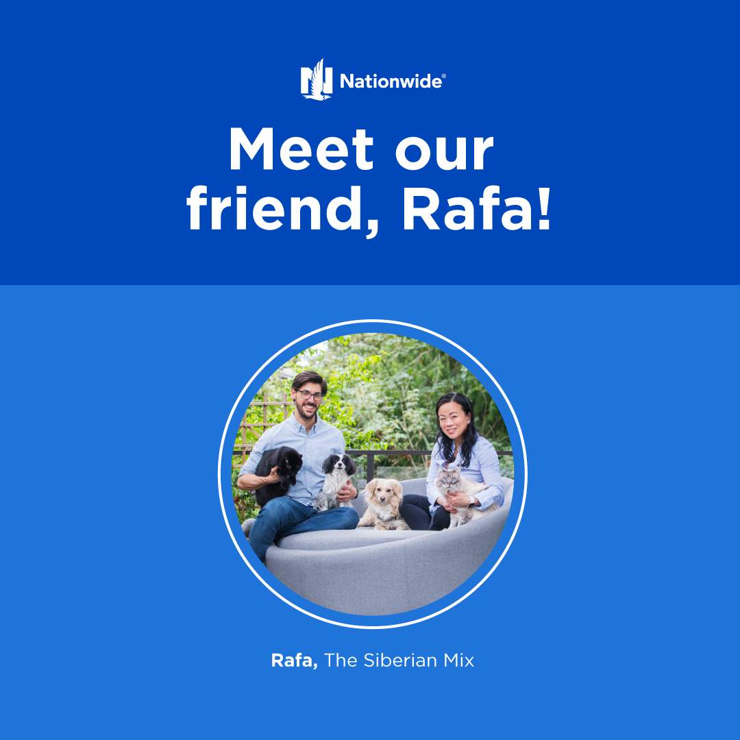 Meet our friend, Rafa